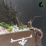 درختچه نیمه مصنوعی کاج طرح بونسای3-2