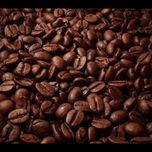 دان قهوه 100٪ روبوستا ویتنام مقدار 1کیلو – Vietnam Robusta 100%