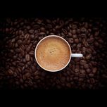 دان قهوه 70٪ عربیکا – 30٪ روبوستا