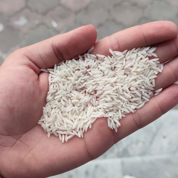 طارم محلی گیلان (10 کیلویی)