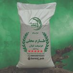 طارم محلی گیلان (10 کیلویی)