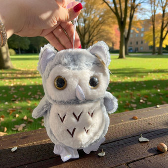 عروسک پولیشی جغد چشم تیله‌ای