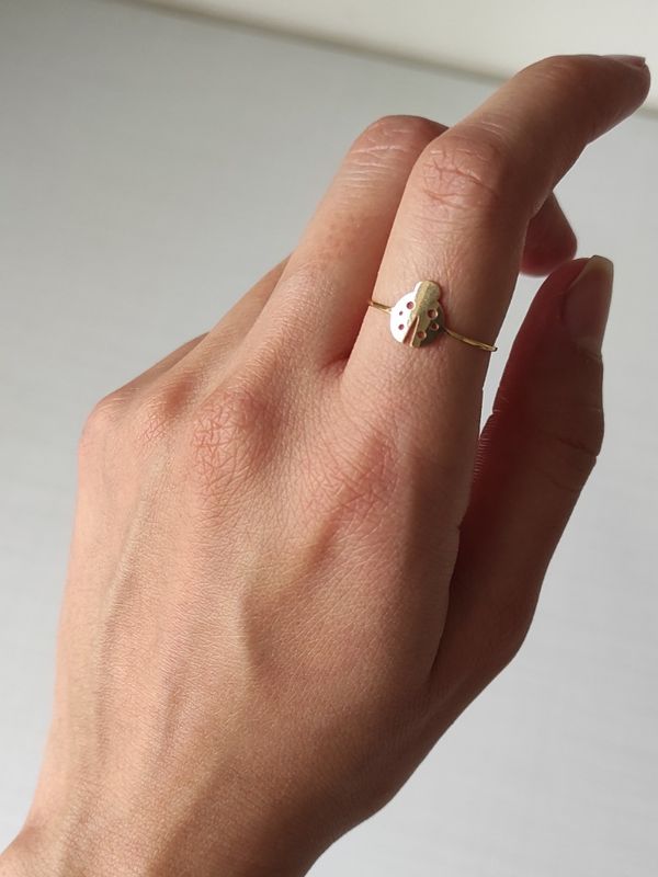 انگشتر کفش دوزک