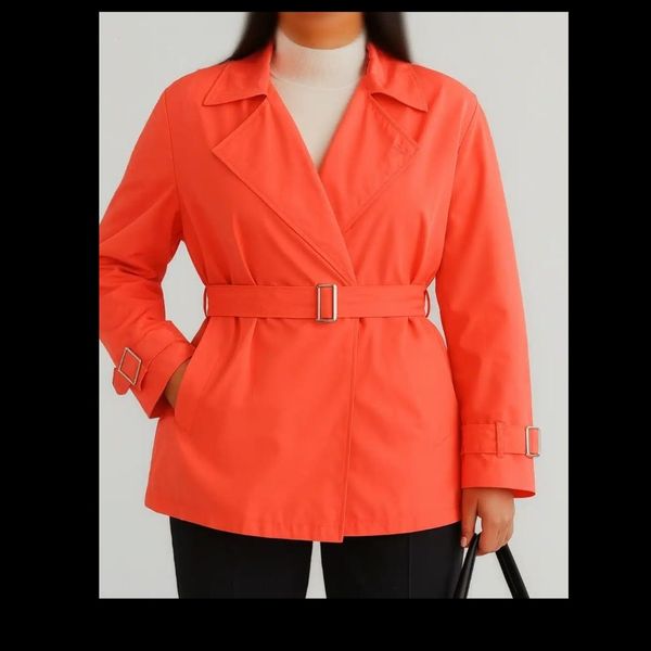 بارونی پلاتین