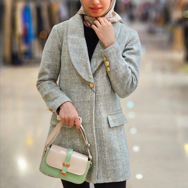 پالتو پانیذ