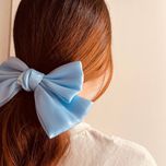 گیره فرانسوی ساتنی