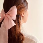 گیره فرانسوی توری پاپیونی