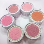 رژگونه پودری شاین دار پرنسسی