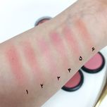 رژگونه مات باربین