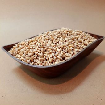 گندم کامل جوانه دار 500 گرمی
