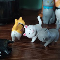 گربه‌های کیوت چهره آسیایی 9عددی