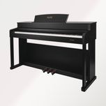 پیانو دیجیتال NURD AP-260/BK