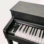 پیانو دیجیتال NURD AP-260/BK