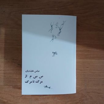 کتاب ص ص م از مرگ تا مرگ/ عباس نعلبندیان
