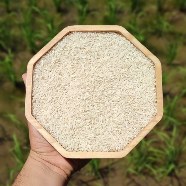 برنج هاشمی آستانه اشرفیه(100کیلو)