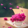 چاواستور