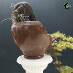درختچه مینیاتوری کاج نیمه مصنوعی طرح بونسای 8-2