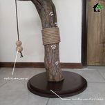 اسکرچر گربه خانگی 3