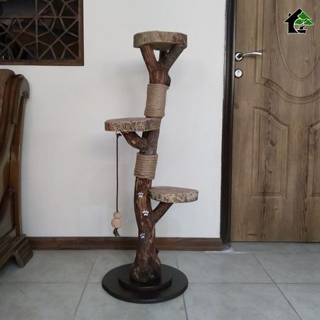 اسکرچر گربه خانگی 1