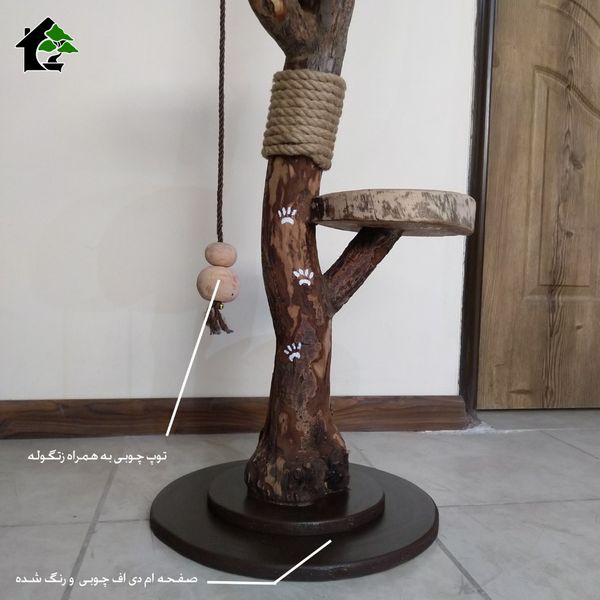 اسکرچر گربه خانگی 1