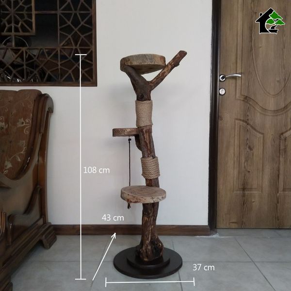 اسکرچر گربه خانگی 1