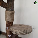 اسکرچر گربه خانگی 1