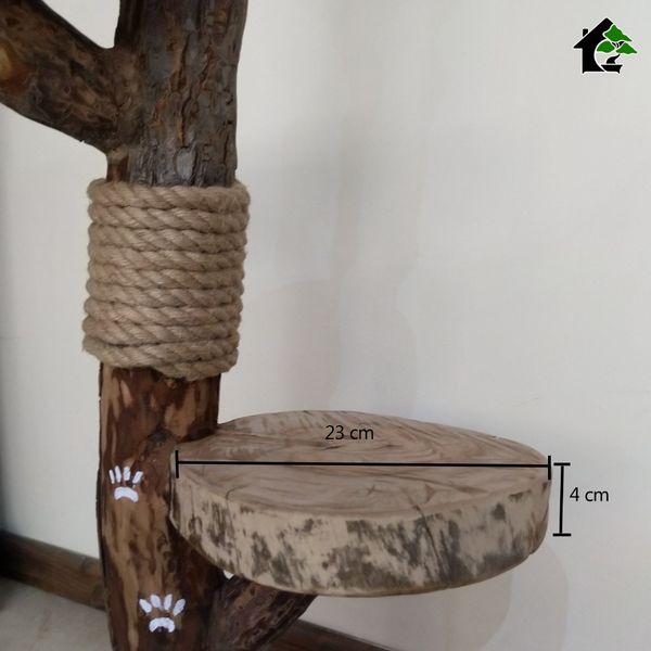 اسکرچر گربه خانگی 1