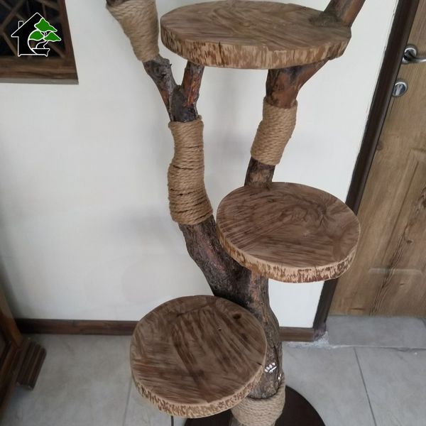 اسکرچر گربه خانگی 3