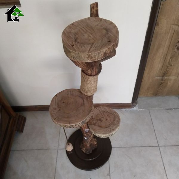 اسکرچر گربه خانگی 1