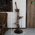 اسکرچر گربه خانگی 2