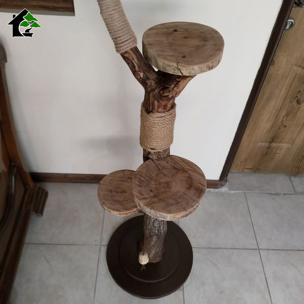 اسکرچر گربه خانگی 2