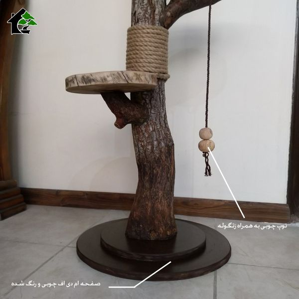 اسکرچر گربه خانگی 2