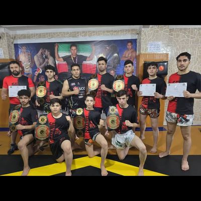 تیشرت  تیمی بوکس