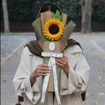 گل بافتنی آفتابگردان