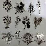 پک استیکر شیشه ای دارک 10 تایی