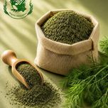 شوید خشک وجینا