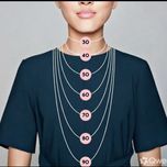 گردنبند و پلاک فروهر استیل نقره‌ای رنگ ثابت (طرح اصیل هخامنشی)