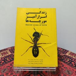 کتاب زندگی اسرارآمیز مورچه‌ها | جائو چه
