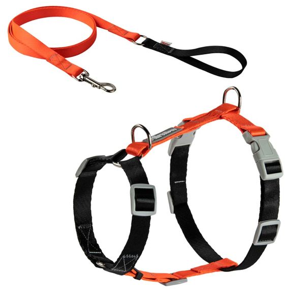 قلاده ی کتفی مدل سیلک H همراه با لید سایز 2 نیناپت / Ninapet harness H model size 2