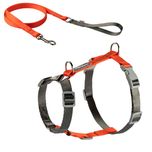 قلاده ی کتفی مدل سیلک H همراه با لید سایز 2 نیناپت / Ninapet harness H model size 2