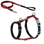 قلاده ی کتفی مدل سیلک H همراه با لید سایز 2 نیناپت / Ninapet harness H model size 2