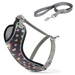 قلاده ی کتفی پد دار VIP همراه با لید سایز یک نیناپت / Ninapet VIP vest harness size 1