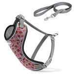 قلاده ی کتفی پد دار VIP همراه با لید سایز یک نیناپت / Ninapet VIP vest harness size 1