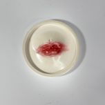 جا عودی سنگ مصنوعی مدل لب