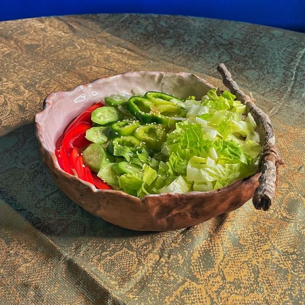 کاسه پینچ