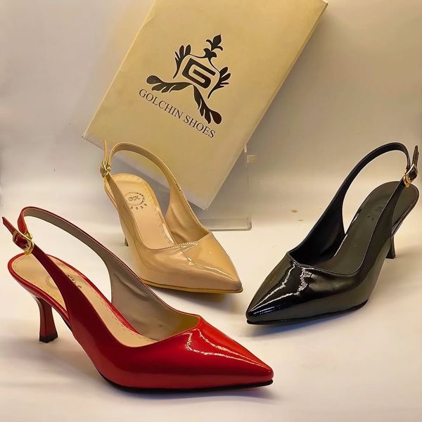 مجلسی پشت باز ظریف