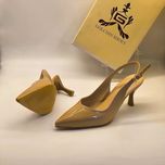 مجلسی پشت باز ظریف