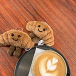 چارم کروسان