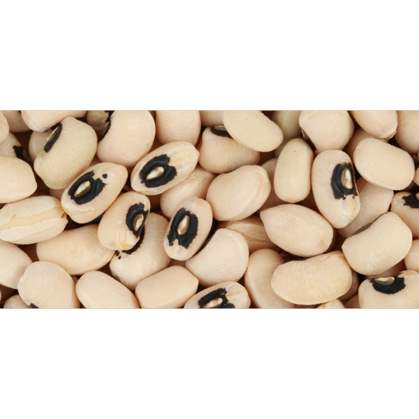 لوبیا چشم بلبلی