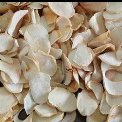 موسیرناکوب